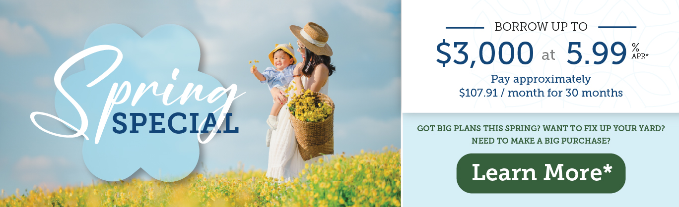 Spring Special is here! Borrow up to $3,000 at 5.99% APR for 30 months