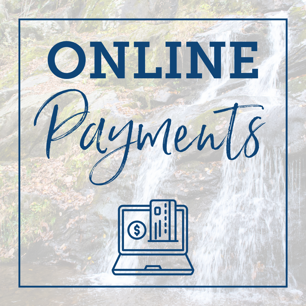 Online payments