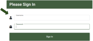 Photo showing how to log in to online banking 